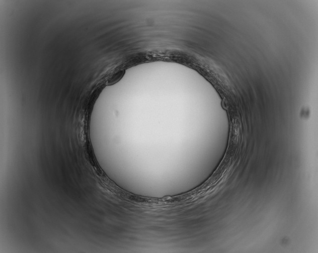 X0000103331060200809051017