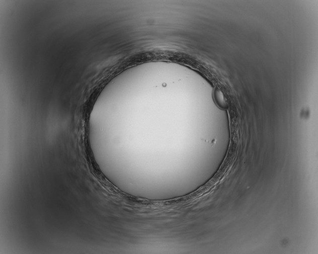 X0000103331061200809051017