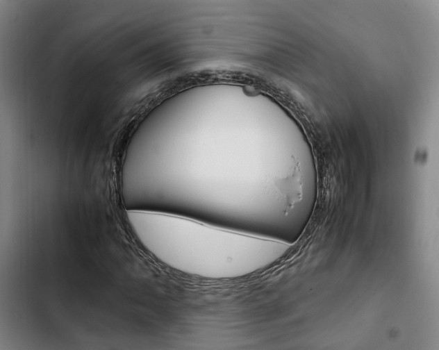 X0000103331062200809051017