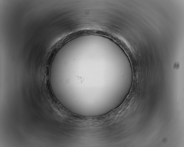 X0000103331064200809051017