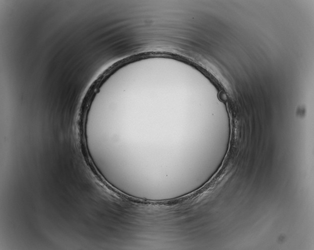 X0000103331068200809051017