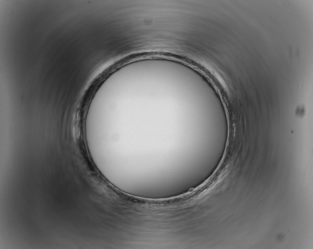 X0000103331069200809051017