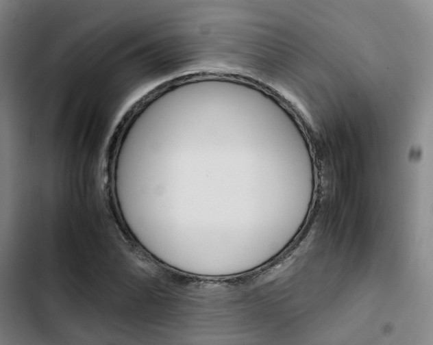 X0000103331070200809051017