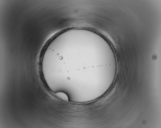 X0000103331071200809051017