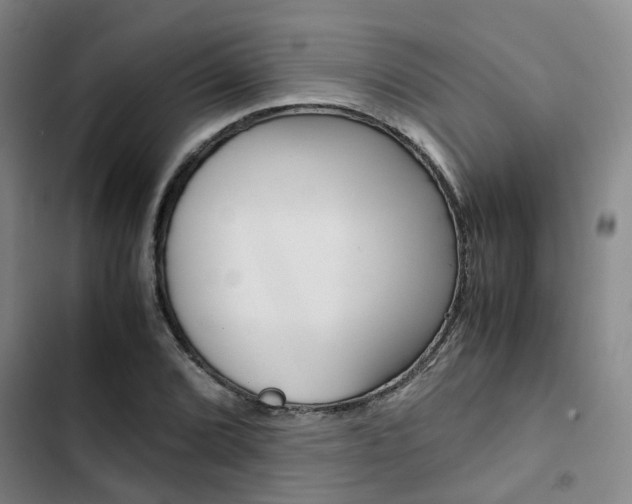 X0000103331072200809051017