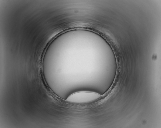 X0000103331073200809051017