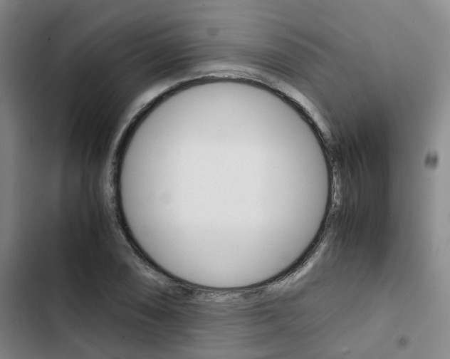X0000103331074200809051016