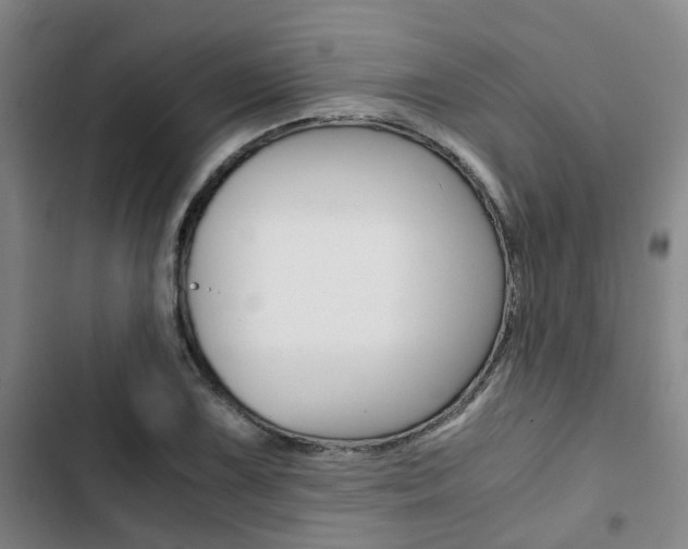 X0000103331075200809051016