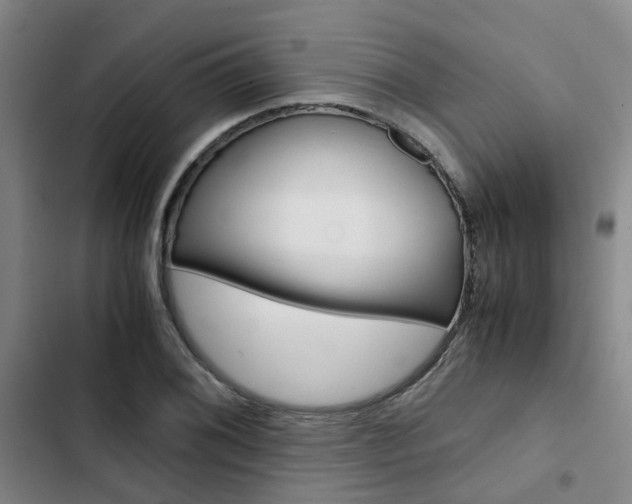X0000103331076200809051016