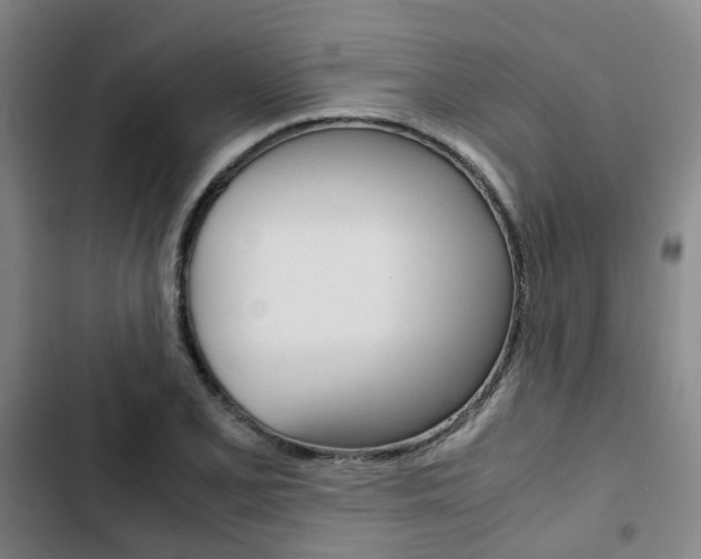 X0000103331077200809051016