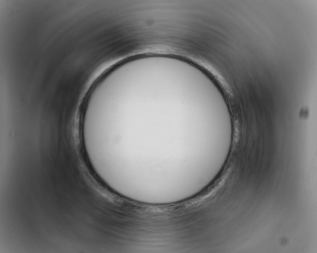 X0000103331078200809051016