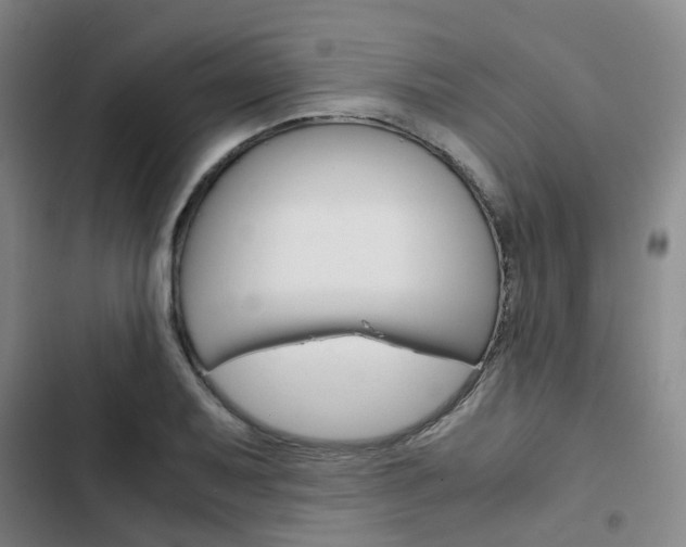 X0000103331079200809051016
