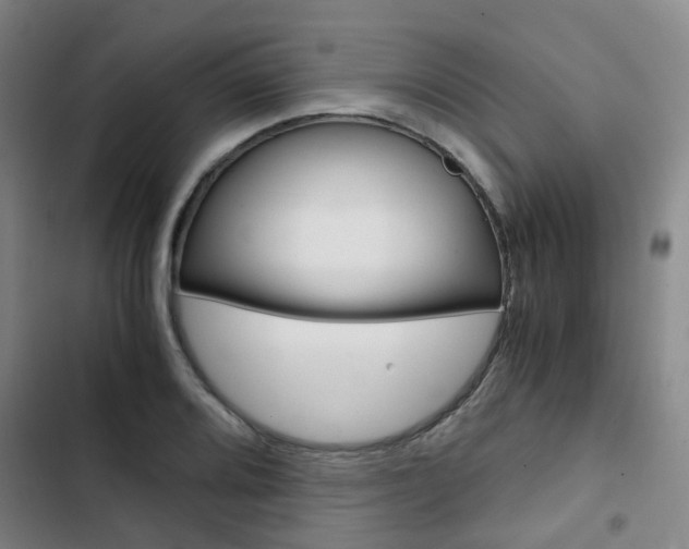 X0000103331080200809051016