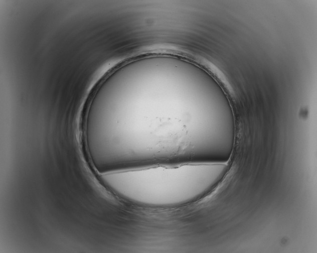 X0000103331082200809051016