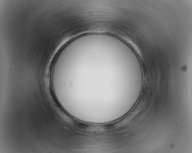 X0000103331083200809051016