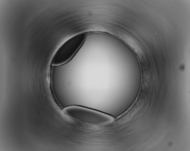 X0000103331084200809051016