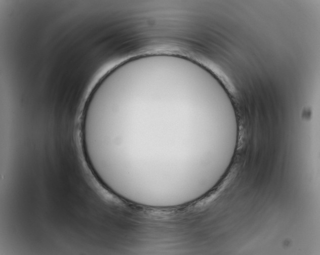 X0000103331086200809051016