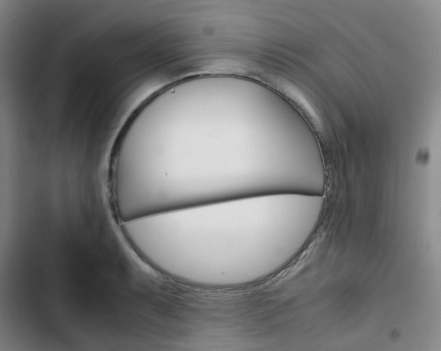 X0000103331087200809051016
