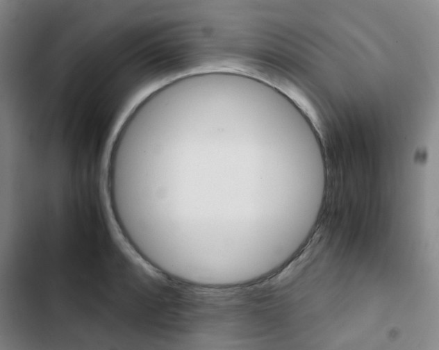 X0000103331088200809051016