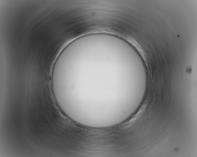 X0000103331089200809051016