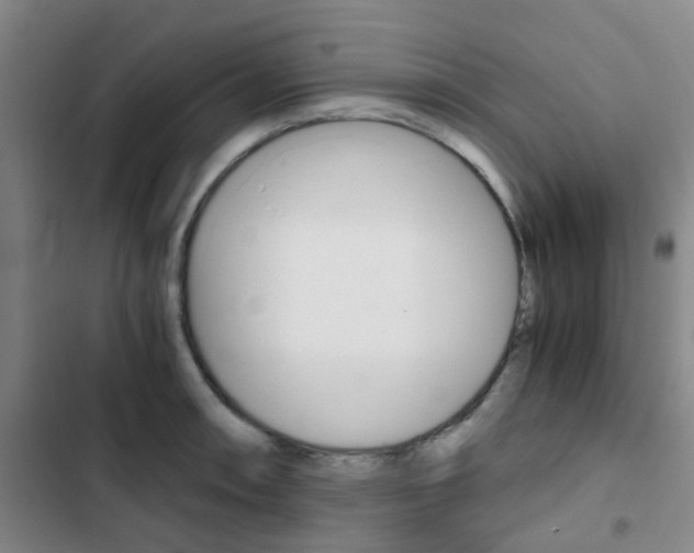 X0000103331090200809051016
