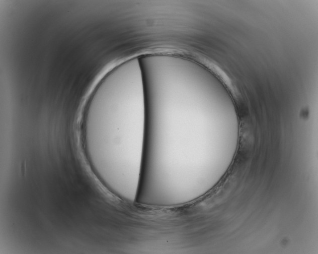 X0000103331091200809051016