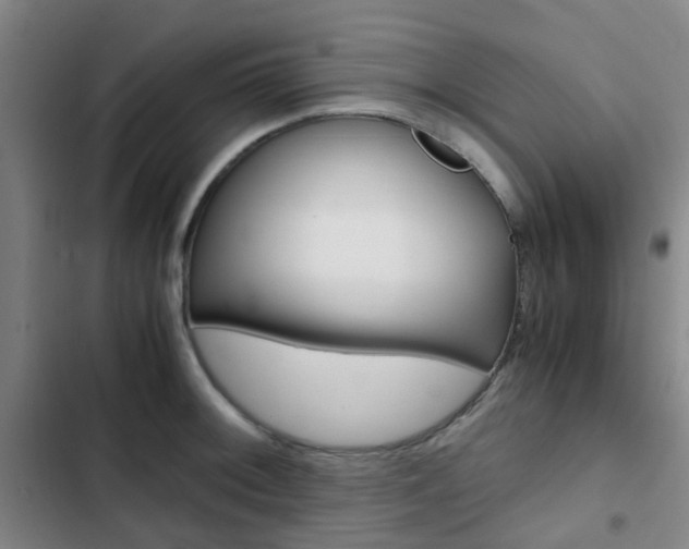 X0000103331092200809051016
