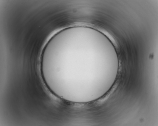 X0000103331094200809051016