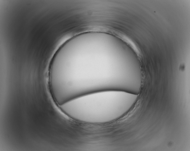 X0000103331095200809051016
