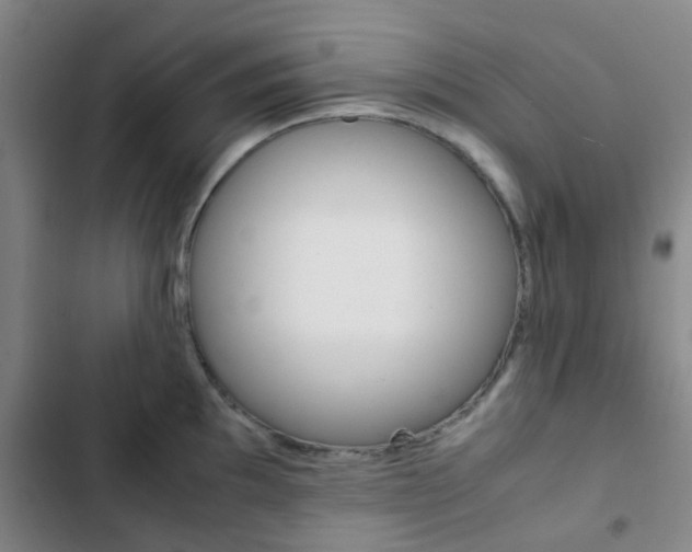 X0000103331097200809051016