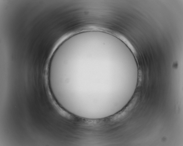 X0000103331098200809051016