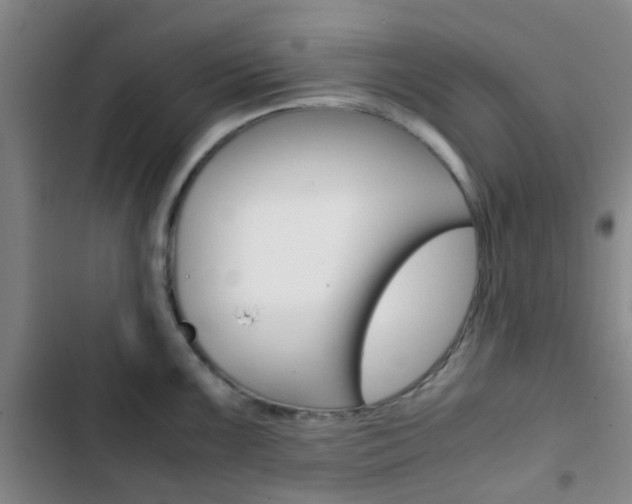 X0000103331099200809051016