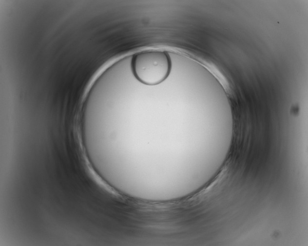 X0000103331100200809051016