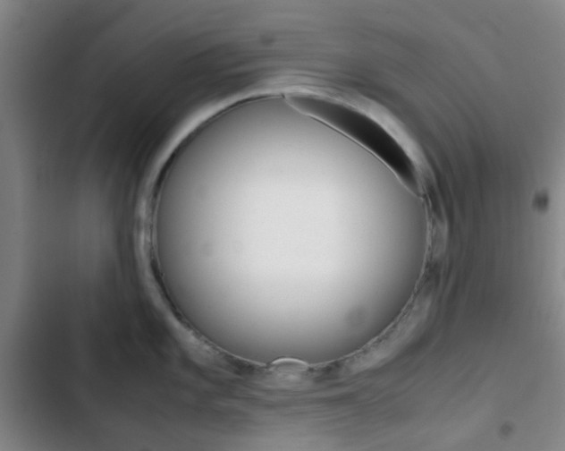 X0000103331101200809051016