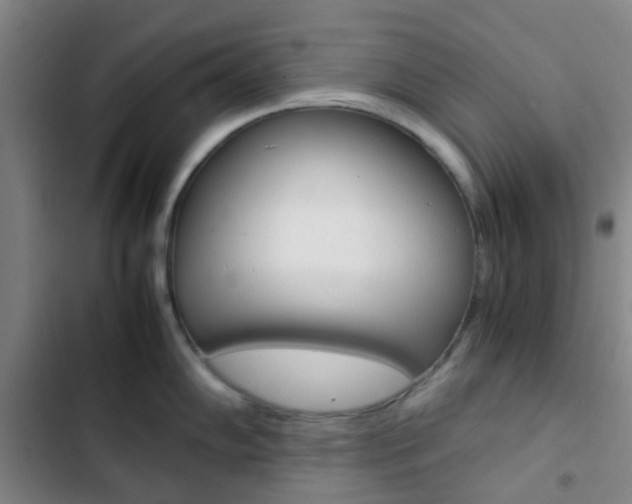 X0000103331102200809051016