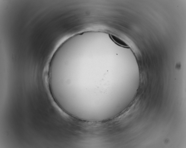 X0000103331103200809051016