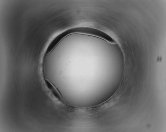 X0000103331104200809051016