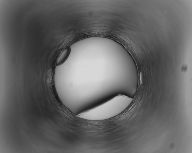 X0000103331107200809051015