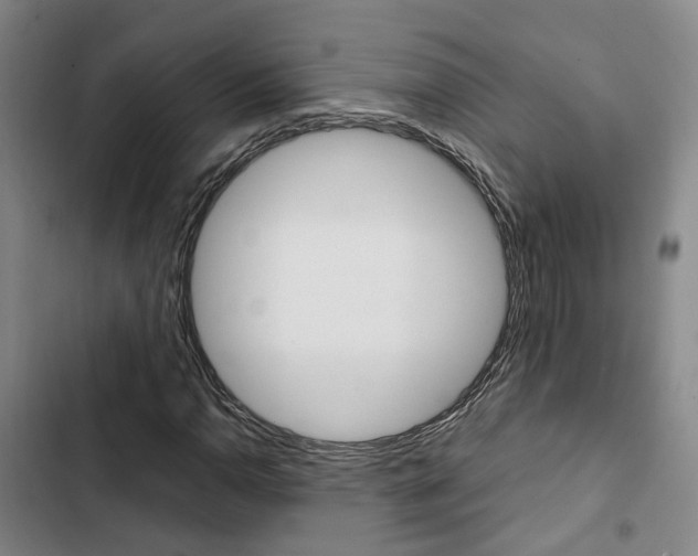 X0000103331110200809051015