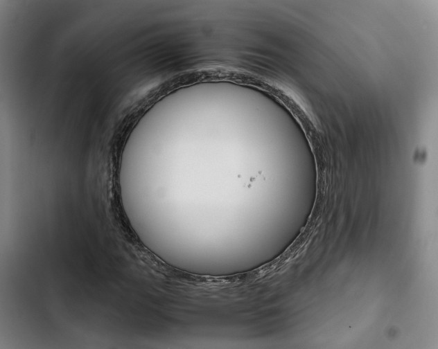 X0000103331111200809051015