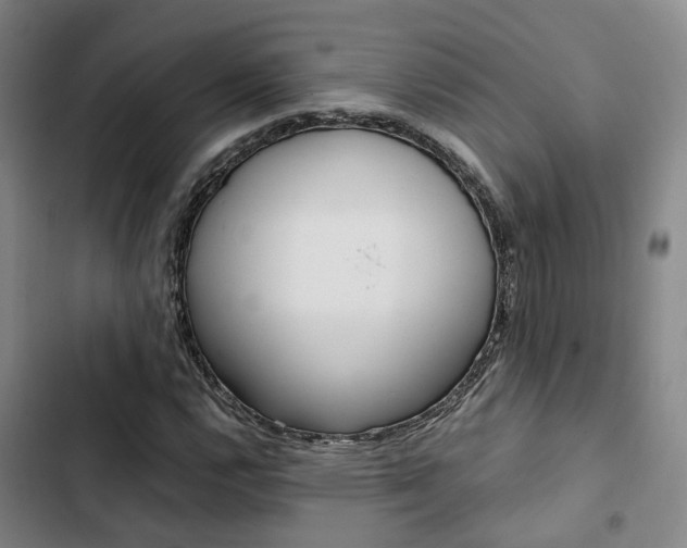 X0000103331112200809051015