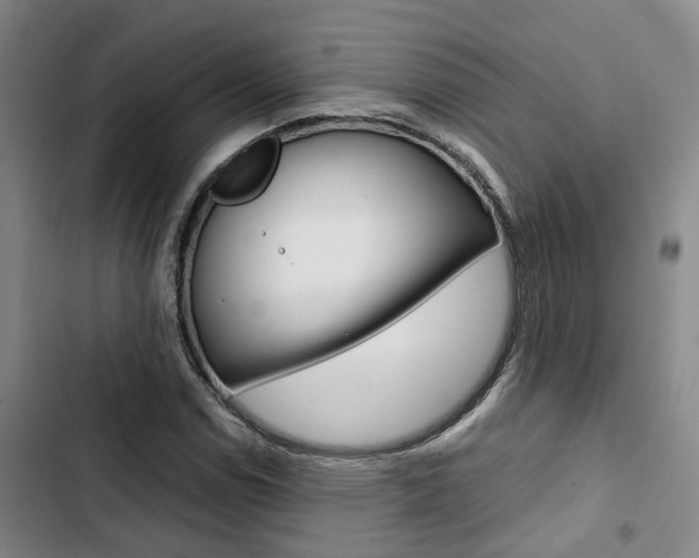 X0000103331114200809051015
