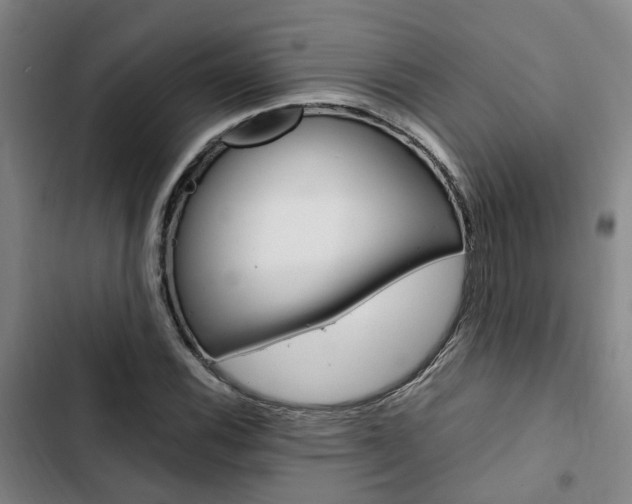 X0000103331116200809051015