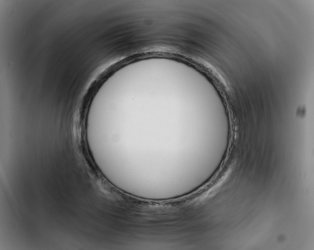 X0000103331117200809051015