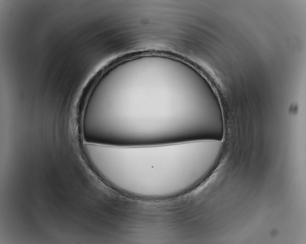 X0000103331118200809051015