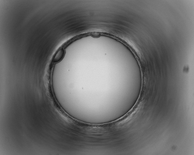 X0000103331119200809051015