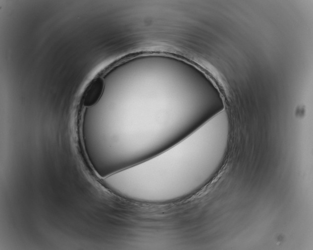 X0000103331120200809051015