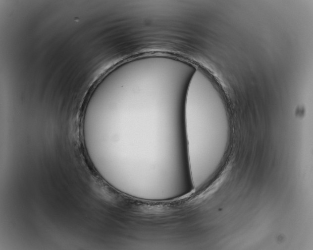 X0000103331121200809051015
