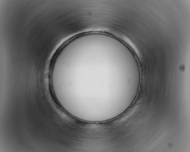 X0000103331124200809051016
