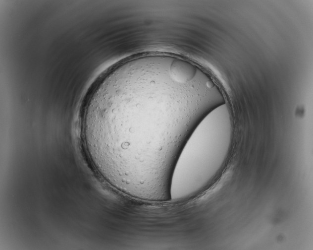 X0000103331125200809051016